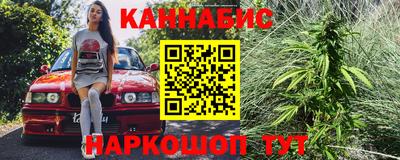 сатива Будённовск