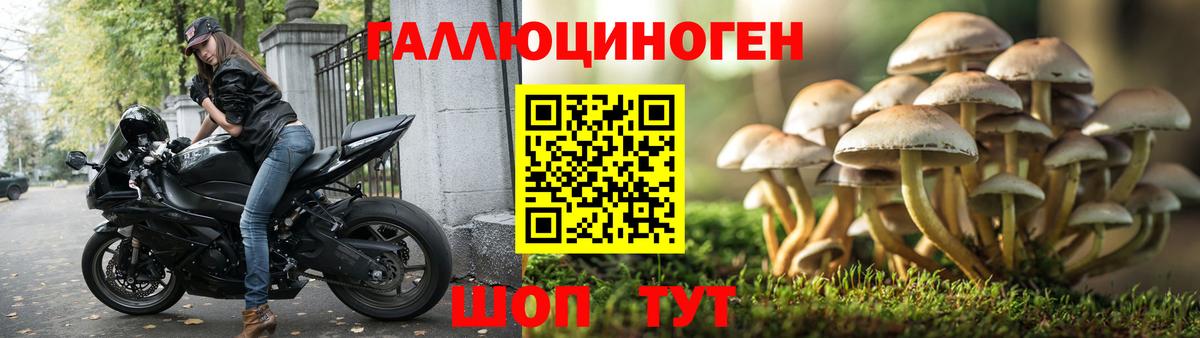 Галлюциногенные грибы мицелий  Вход с VPN  Красноуфимск 